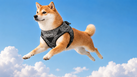Pet Gear Hasn't Changed in 30 Years. AirKnit™ Just Changed It.