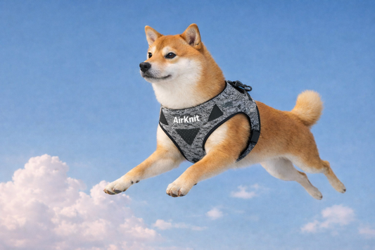 Pet Gear Hasn't Changed in 30 Years. AirKnit™ Just Changed It.