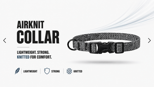 The Last Collar Your Dog Actually Needs