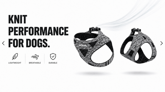 Why Knit Technology Is Redefining the Way Dogs Move Through the World