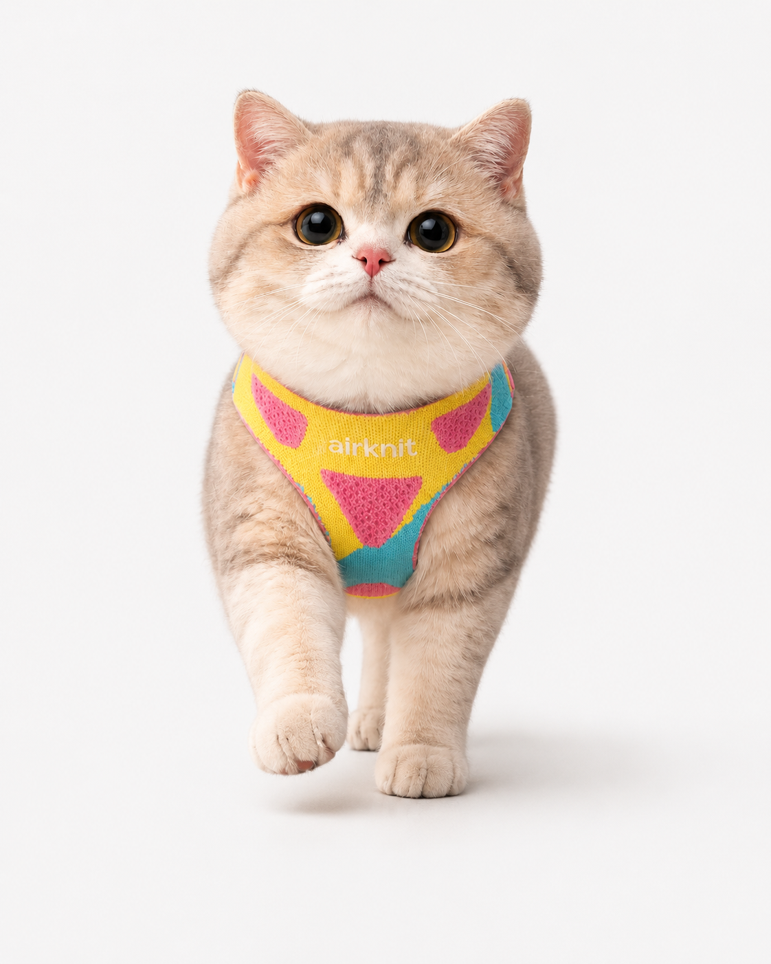 AirKnit™ Performance Popshock Harness — Breathable Knit Harness for Dogs & Cat